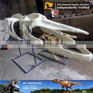 MY Dino-C058 Water Park Whale Skeleton for Sale