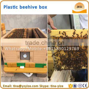 Bee hive / honey bee hive / bee hive frames plastic