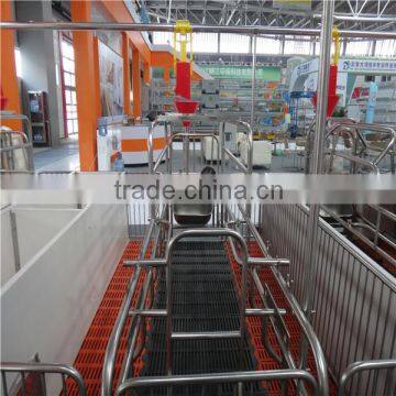 Pig Farming Equipment/pig Equipment for Piglet Feeder