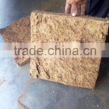 Coir pith block / coco peat block