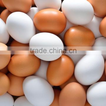 Fresh table eggs white and brown