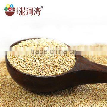 White Broomcore Millet With Reasonable Price 2016 Crop photo-2