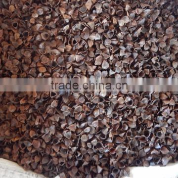 Organic Buckwheat hull