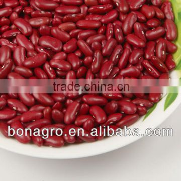 2014 new crop Dark Red kidney beans british type