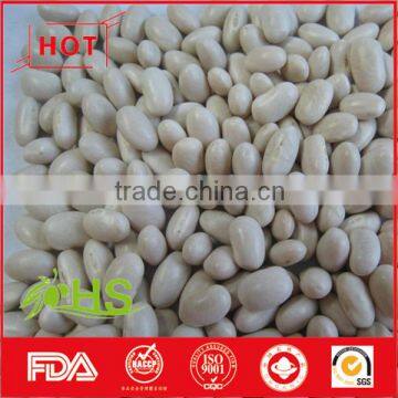 High Quality White Kidney Beans for Sale at Cheap Price photo-2