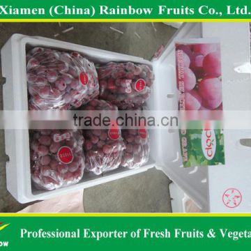 Fresh Sweet Red Grape for export