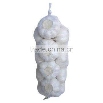 Chinese Garlic