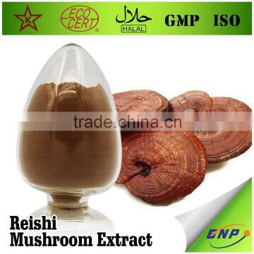 BNP Top quality 100% Natural original ganoderma lucidum extract