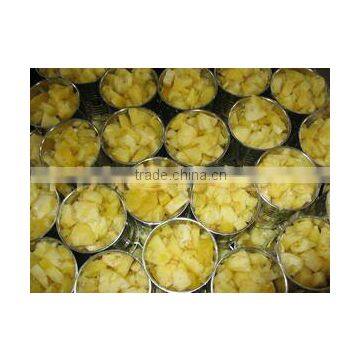 BEST SELLING VIETNAM CANNED PINEAPPLE CHUNKS / SLICES IN SYRUP (20oz/580ml and 30oz/850ml) photo-2