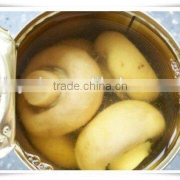 canned mushroom in brine