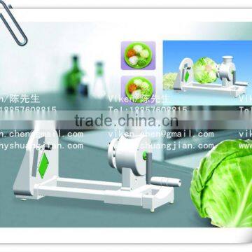 Vegetable Cutter