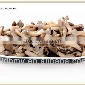 good quality brined shimeji mushroom in drum