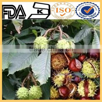 100% Natural Horse chestnut extract Powder