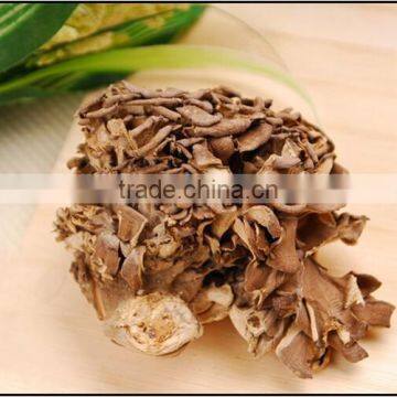 Best Selling Organic Dried Maitake Mushroom photo-3