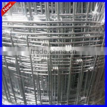 farm fencing wire (professional factory )