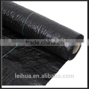China pp Woven Fabric Roll for Geotextiles