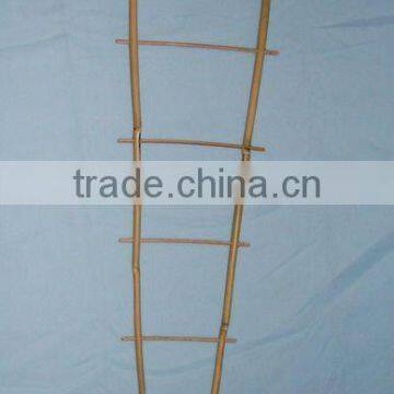 Natural Bamboo Cane Stake Arbors