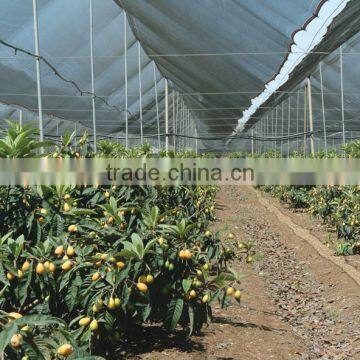 High density PE Protective Anti-bird Net Anti-wind Net