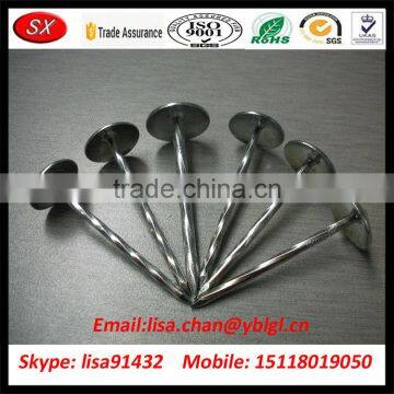 OEM/ODM Stainless Steel Roofing Nail With Umbrella Head
