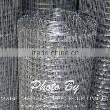 50x50mm galvanzied welded wire mesh