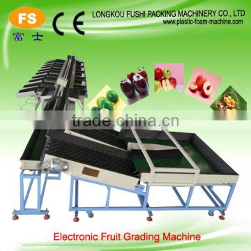 CE Approved Electronic Weight Grading Machine for Pears