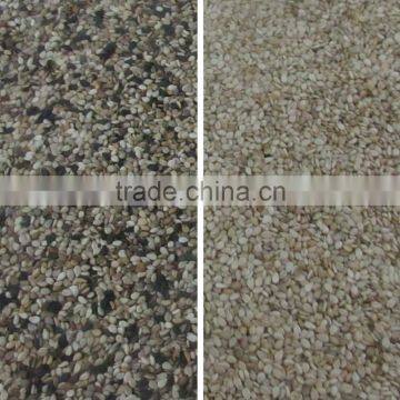 CCD Oil Seed Color Sorter/sorting Machine/Food Processing Machine photo-3