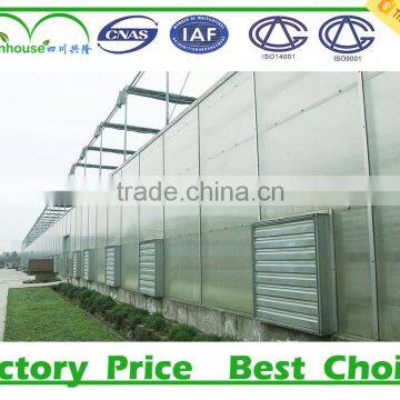 Low Cost High Quality Agricultural Greenhouses photo-3