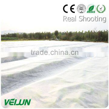 Polypropylene Woven Fabric 100% PP Nonwoven Fabric Fruit Bag photo-3