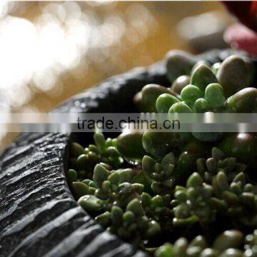 2017 Cheap Balcony Fiberglass Flower Pot Outdoor Round Planters photo-5
