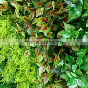 SJ0409027 Plant Climbing Walls Plastic Plants Wall/vertical Green Wall Garden photo-4