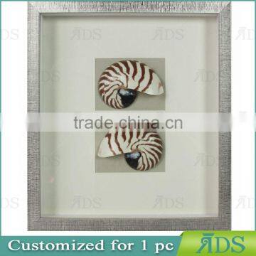 Chinese Nautilus Shells Graphic Art Shadow Box Gift Ideas Wall Decor photo-2