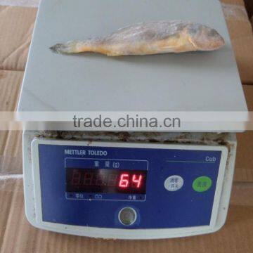 Frozen Fish Seafood Little Yellow Croaker photo-2