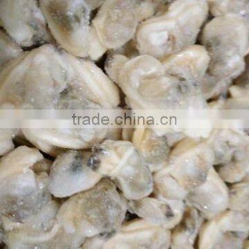 FROZEN SHORT NECKED CLAM WITHOUT SHELL FROM TAIHUA