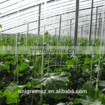 Commercial multi span Agricultural film greenhouse for sale