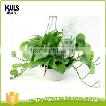 Garden Watering Plant Spike Plastic Automatic Plant Watering System Garden Tool Water Sprinkler photo-3