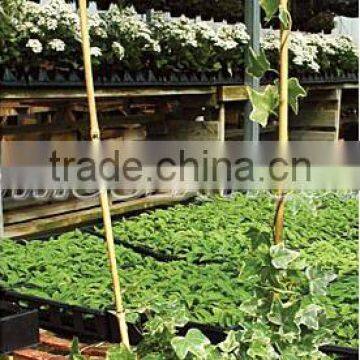 bamboo u shape hoop for plant supports