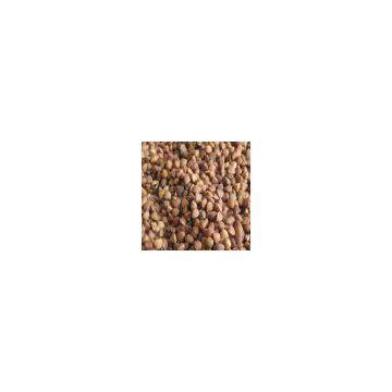 Roasted Buckwheat