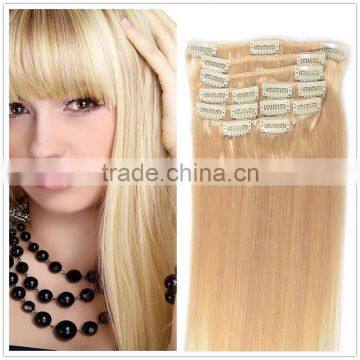 Virgin Brazilian Remy Hair Extension,Tape Hair Extension,Cheap 100% Human Hair Clip In Hair Extension