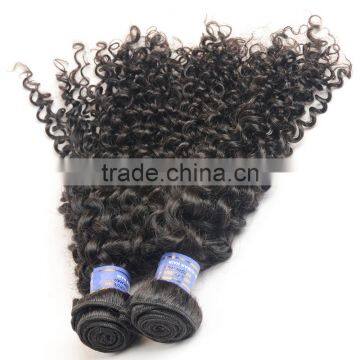 2016 New Products on China Market, Mongolian Virgin Hair, Mongolian Kinky Curly Hair photo-2