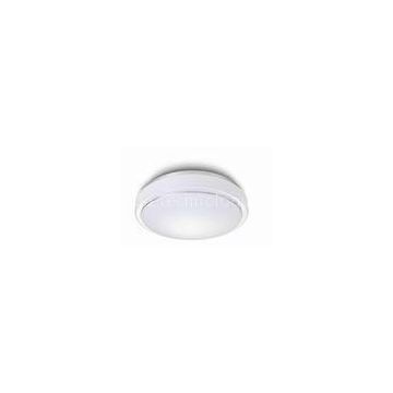 25W High Power LED Ceiling Light Fixtures for Dwelling Houses LED Ceiling Lights