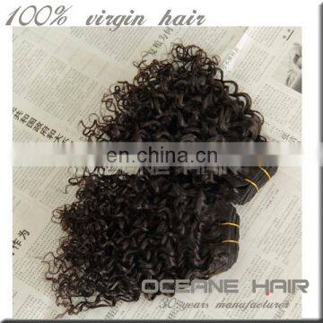 100% unprossed virgin huaman hair free shipping sample support kinky curly hair brazilian