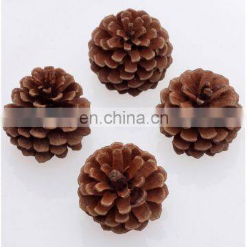 Natural Pine cones for decoration Christmas tree pendant Pine cones Snow color pine cones 6 pcs