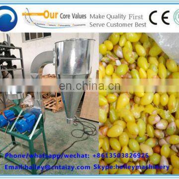 Best Quality Ginkgo Nuts Shelling Machine/Gingko Peeling Machine photo-4