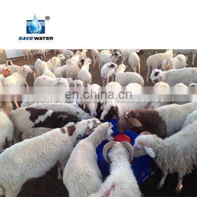 Frost Free Heat Auto Drinking Water Bowl Cow Cattle Sheep Goat Antifrost Drinker Trough Livestock Farm Equipment photo-5