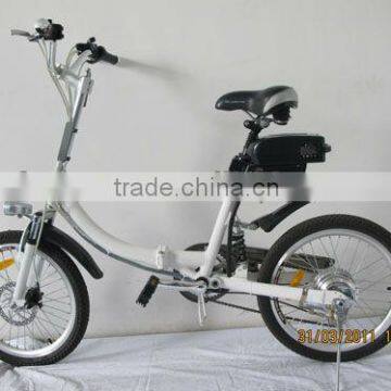 Light Folding Electric Bike