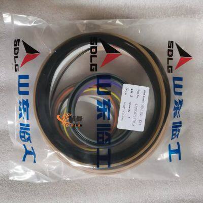 SDLG Seal kit 4120007577008 for SDLG Wheel Loader with good price