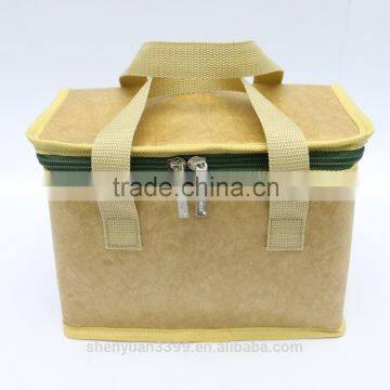 Latest Fashion Waterproof paper cooler bag Promotional ecofrindly Cooler Bag