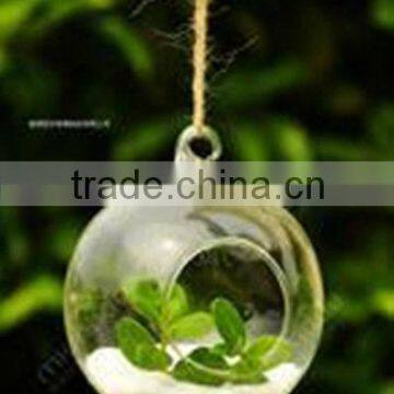 Hanging Ball Shaped Glass Vase, Flat Bottom, Minimalist Style, Home&Garden Decoration