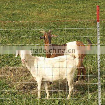 farm used corral panels/holland PVC coated steel wire /protecting wire mesh used for farm and residentials