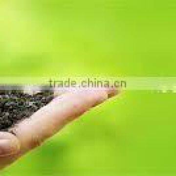 Bulk Pellet form Neem Cake Fertilizers at Best Price